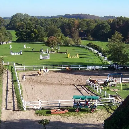 Ponyhof Naeve Am Wittensee Gross Wittensee Exterior photo