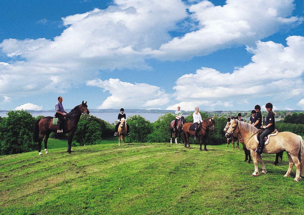 Farm stay Ponyhof Naeve Am Wittensee