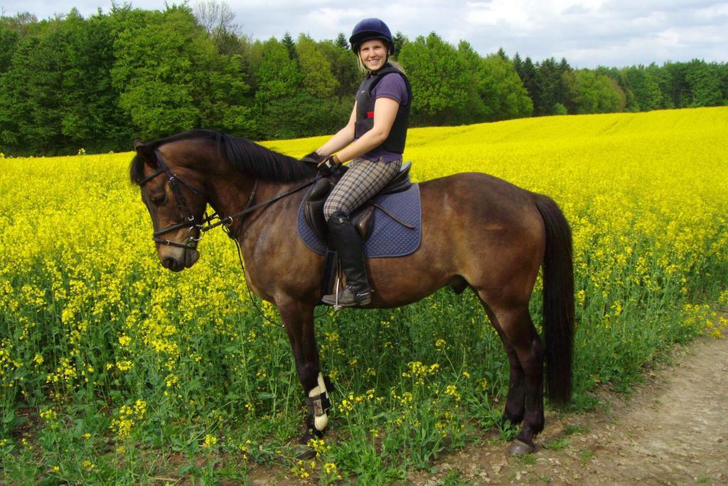 Farm stay Ponyhof Naeve Am Wittensee *